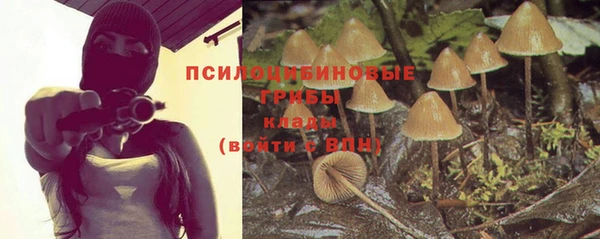 мяу мяу кристалл Коряжма