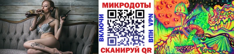 Купить  Демидов  Псилоцибиновые грибы Psilocybine cubensis 